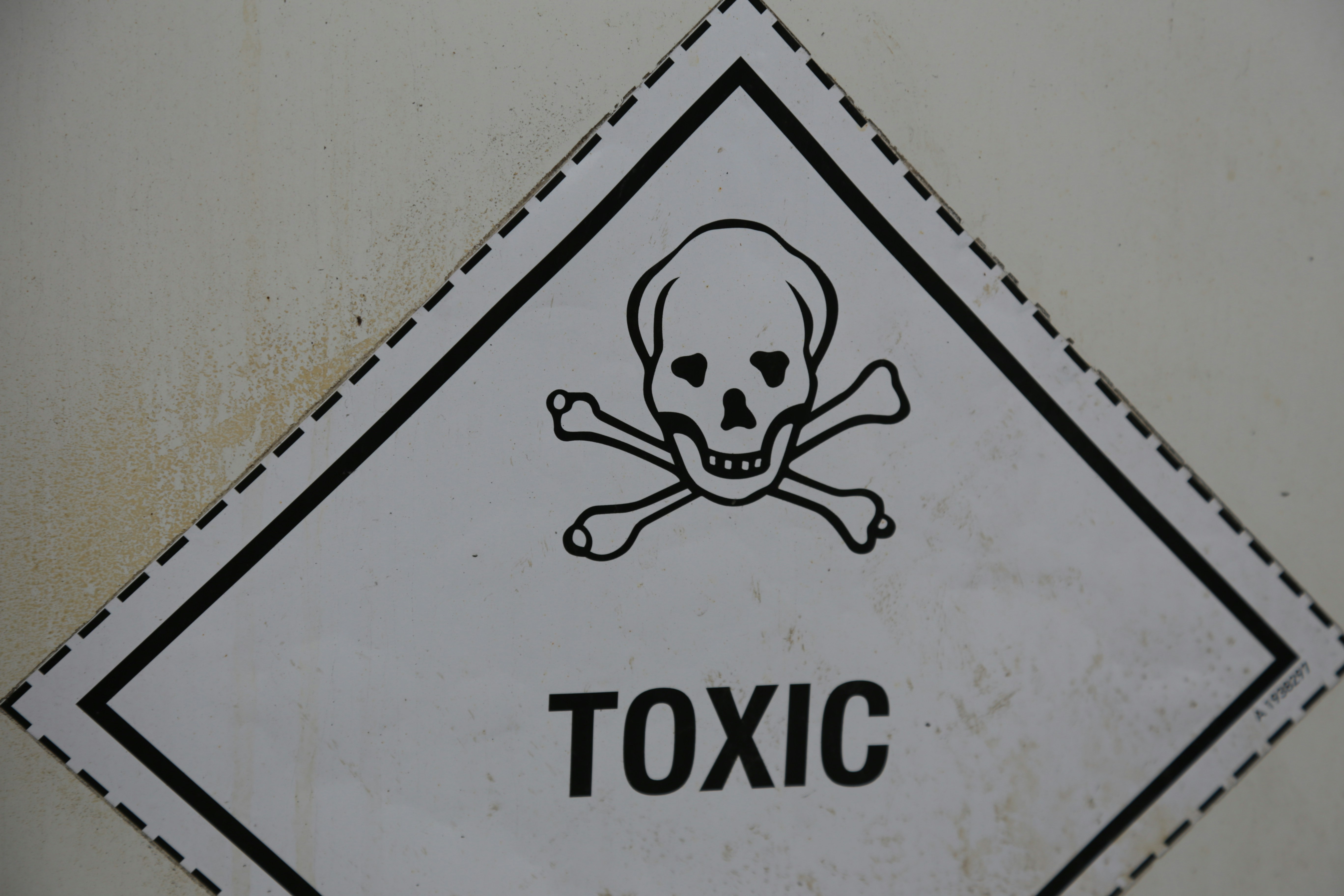 What to Do After a Biohazard Incident: A Step-by-Step Guide for Denver Homeowners